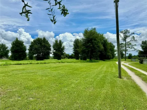 Buildable Land in Zephyrhills