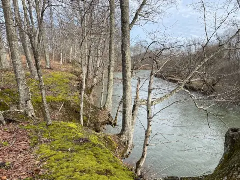 Land with River Frontage