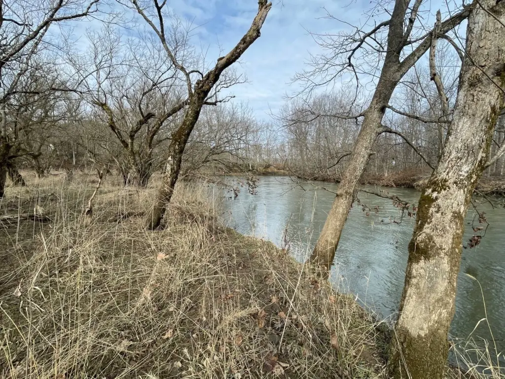 Picture 18