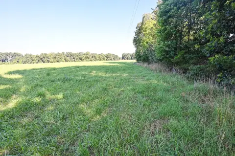 Versatile Land Tract in Niangua