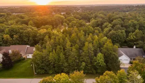 Wooded Lot in Brookridge Forest