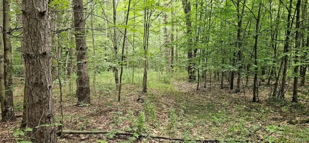 Picture 23
