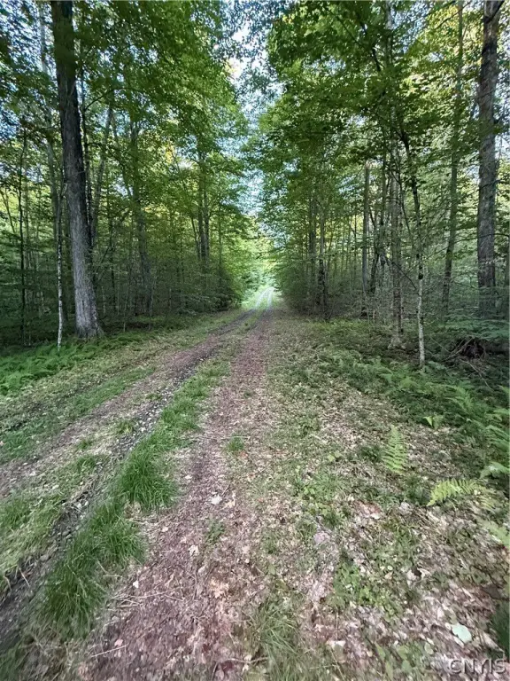 Picture 7