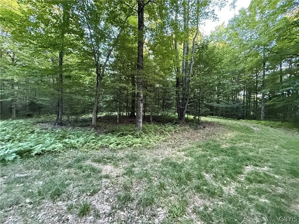 Picture 8