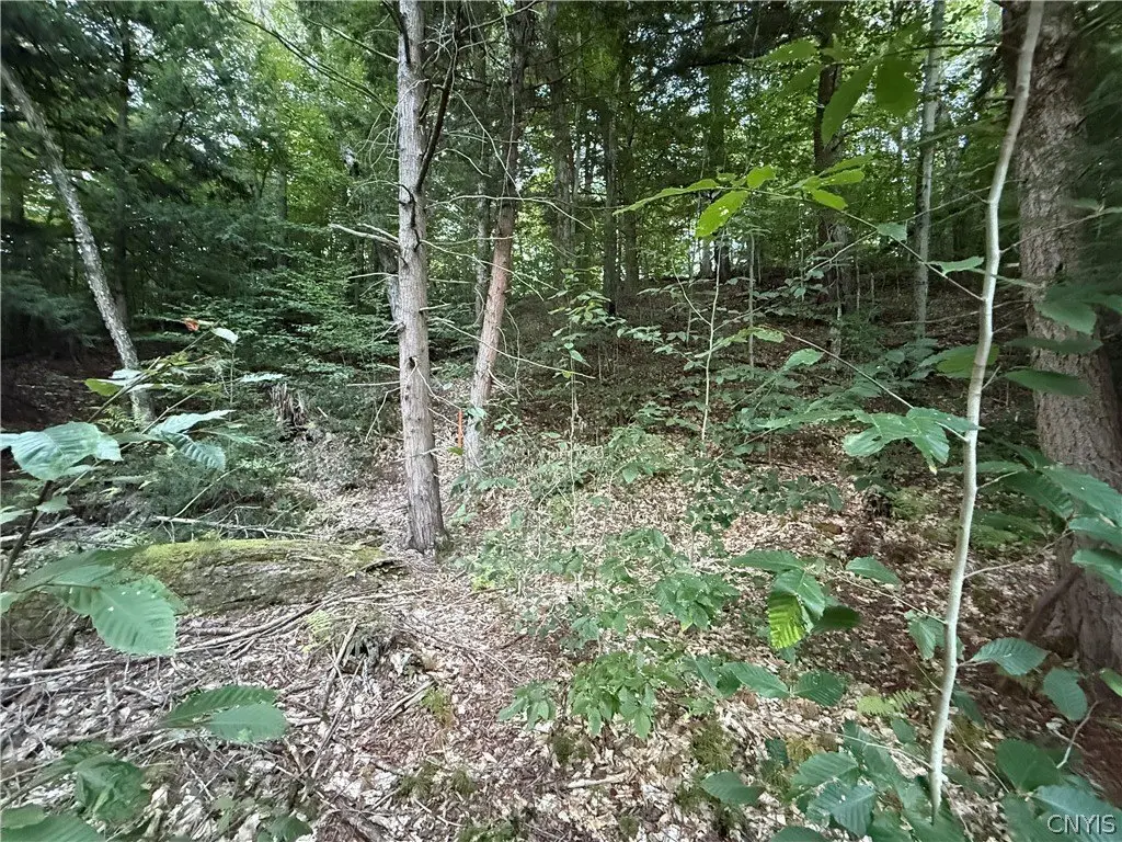 Picture 4