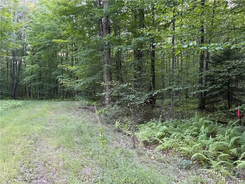Picture 10