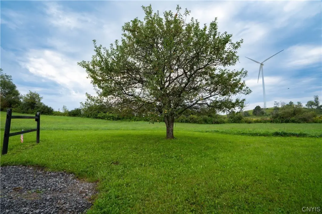 Picture 21
