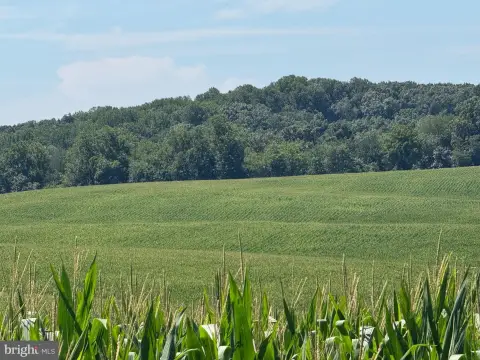 Farmland with Building Lots