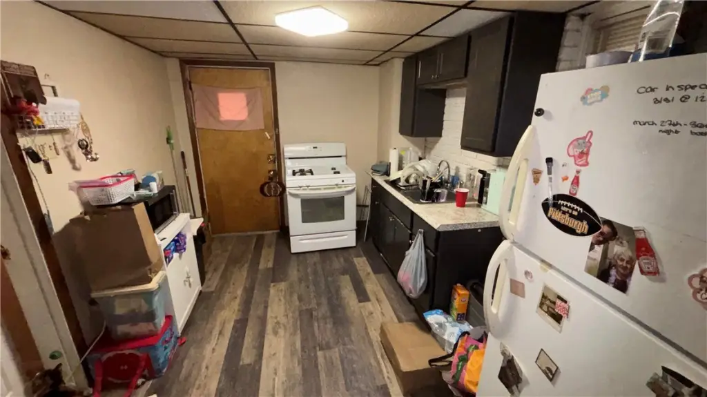 Picture 23