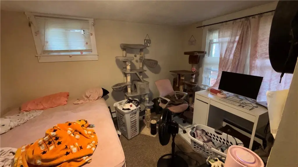 Picture 28