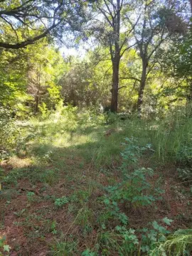 Edisto Island Residential Land
