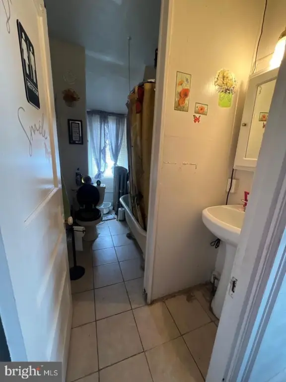 Picture 27