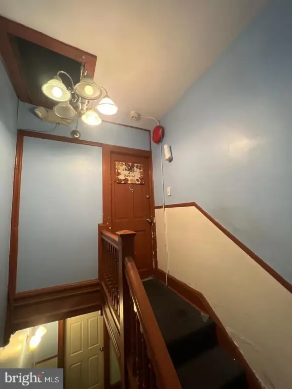 Picture 24