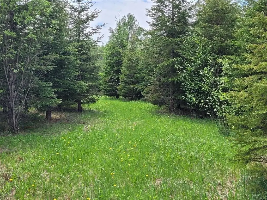 Picture 23