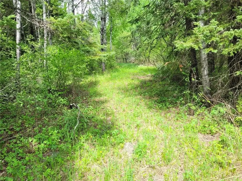 Picture 27