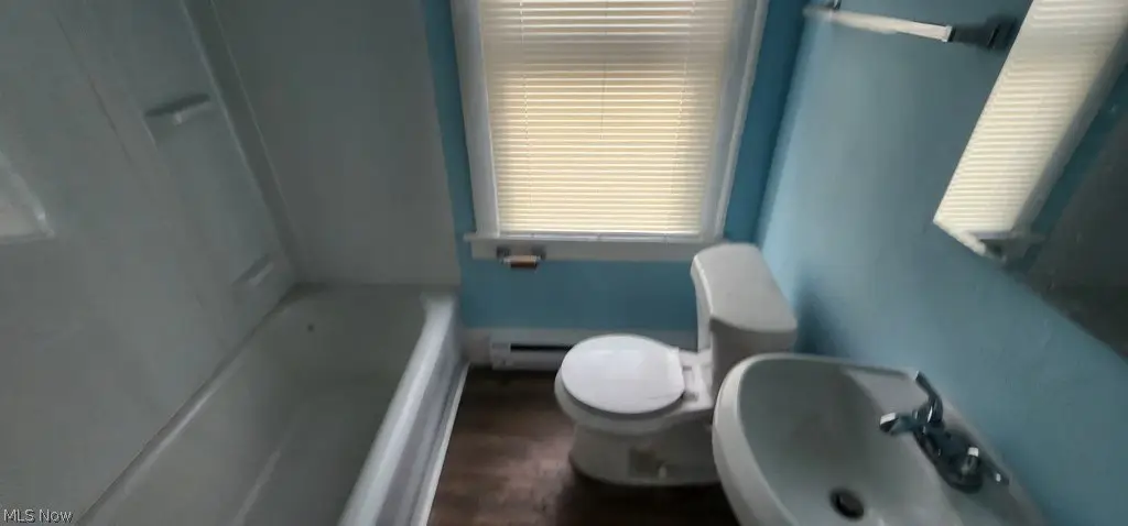 Picture 17