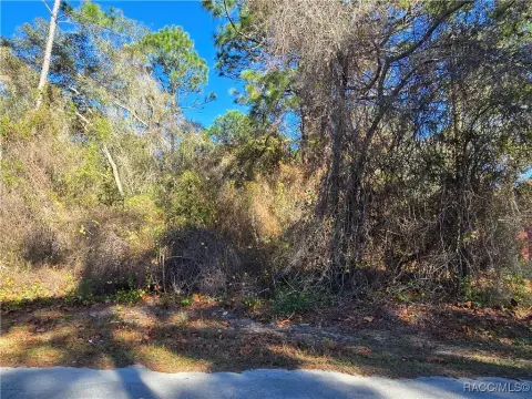 Inverness Homesite Opportunity Awaits