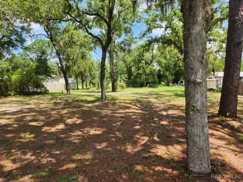 Homosassa Land For Sale