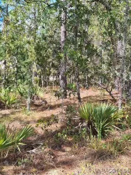 Citrus Springs Homesite Opportunity