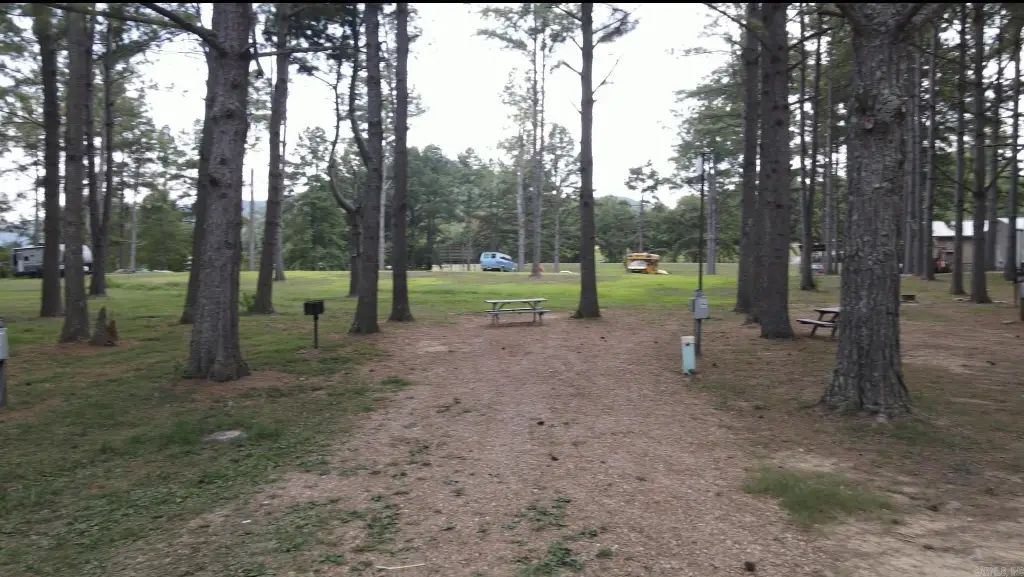 Picture 18
