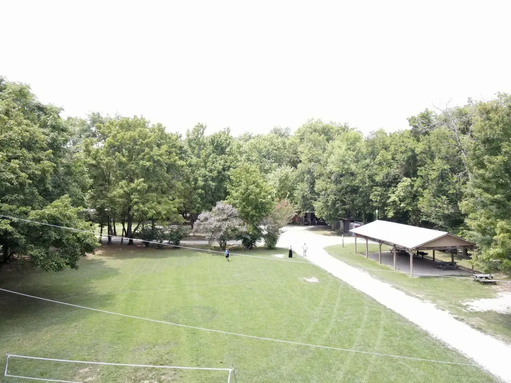 Picture 5