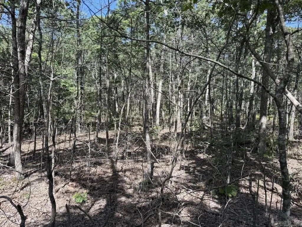 Picture 38