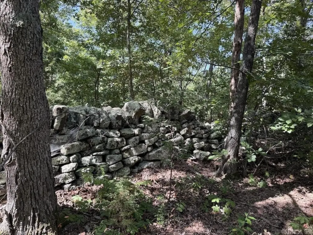 Picture 45