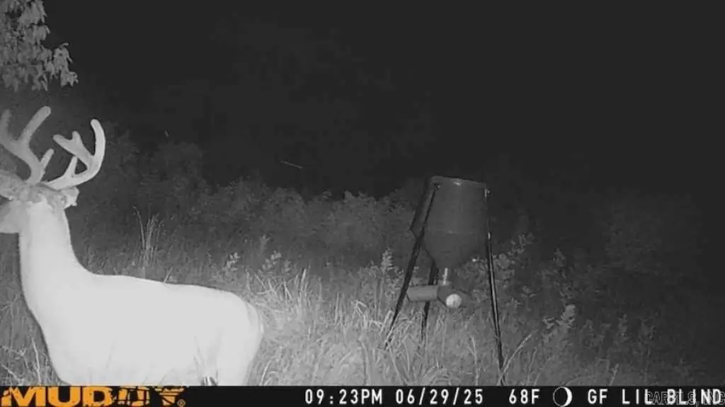 Picture 34