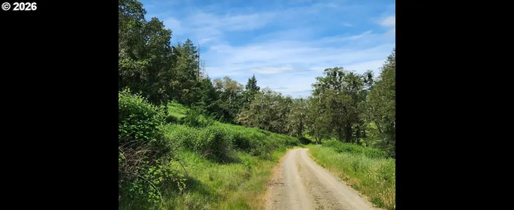 Picture 44