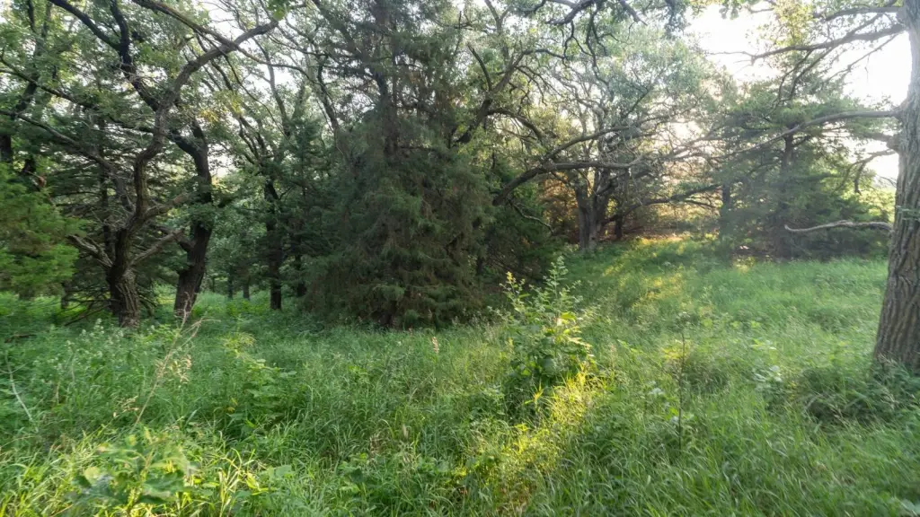 Picture 47
