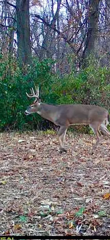 Picture 28