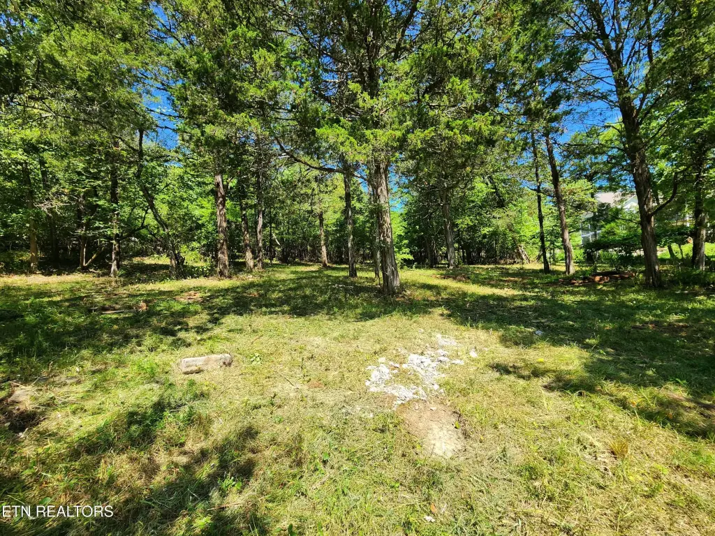 Picture 8
