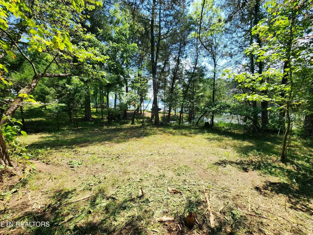 Picture 21