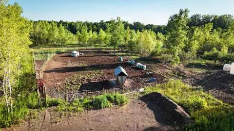 Phelps Vacant Land: 19.1 Acres