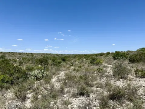 91 Acres of West Texas Hunting