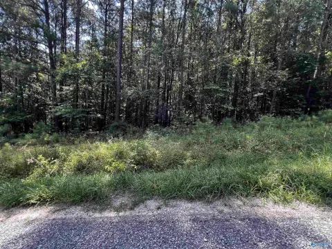 Land with Water Access