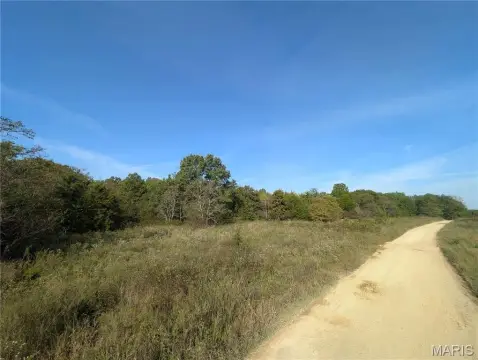 23.77 Acres Wooded Land Richland