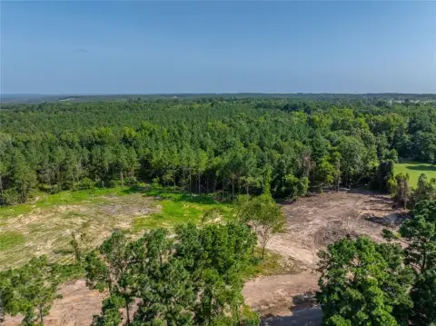 East Texas Wooded Retreat Land