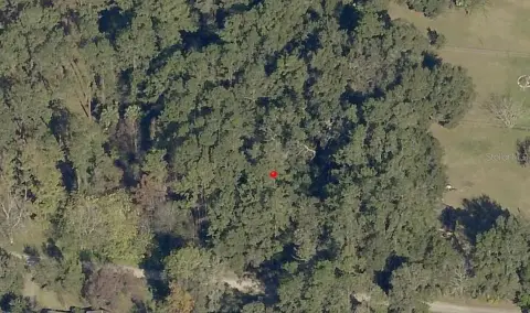 Residential Land in Ocala, Florida