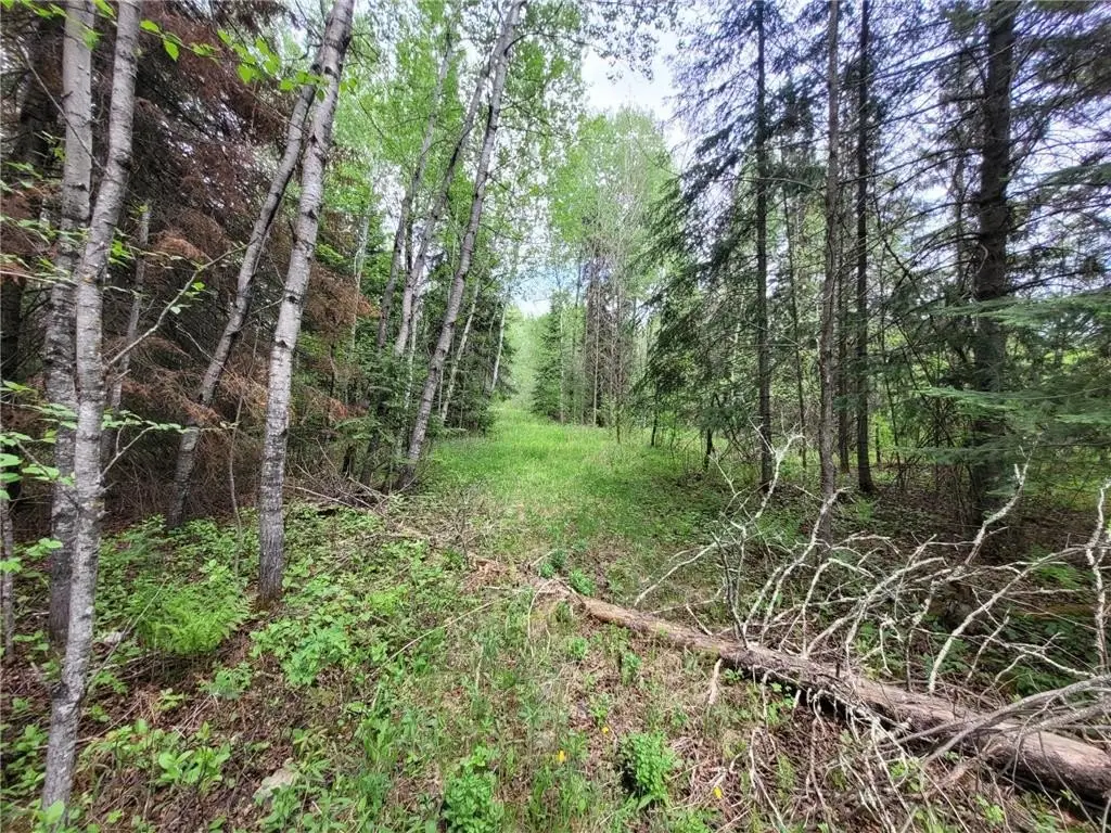 Picture 8