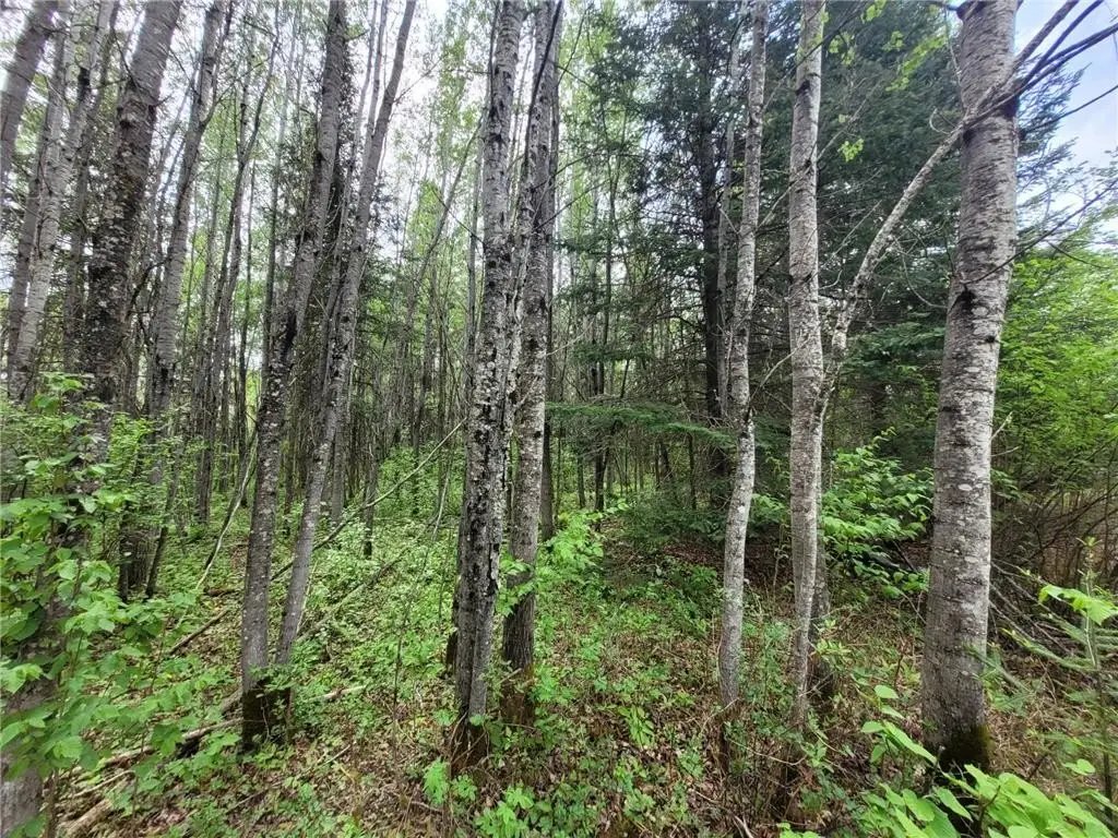 Picture 16