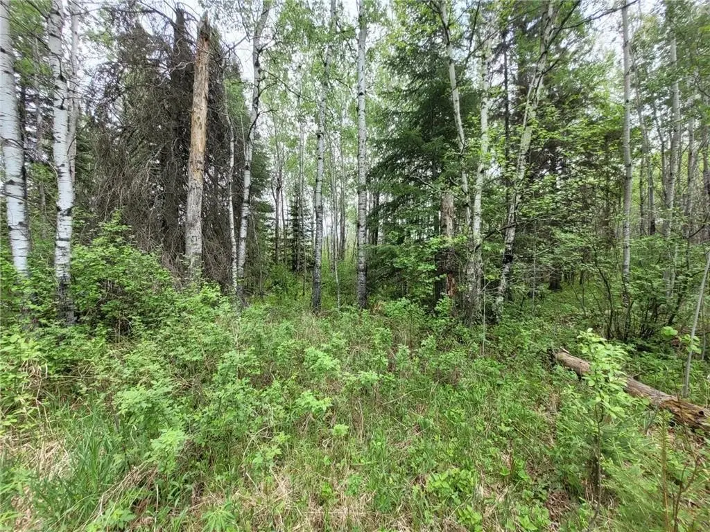 Picture 15