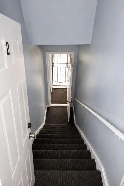 Picture 12