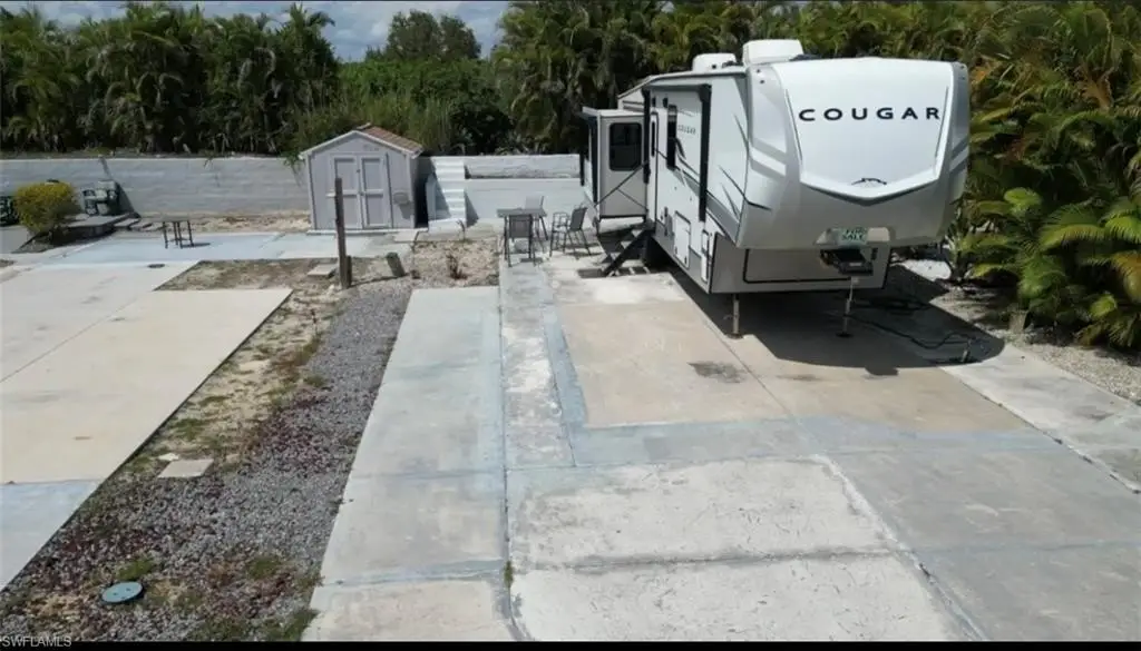 Picture 5