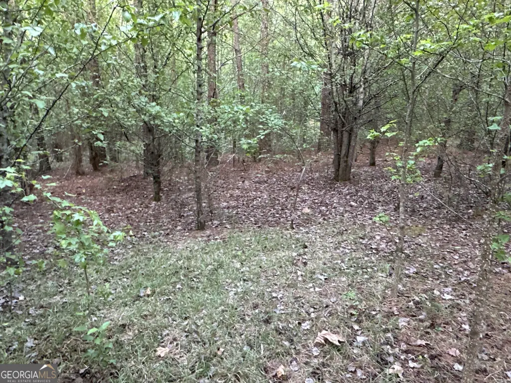 Picture 7