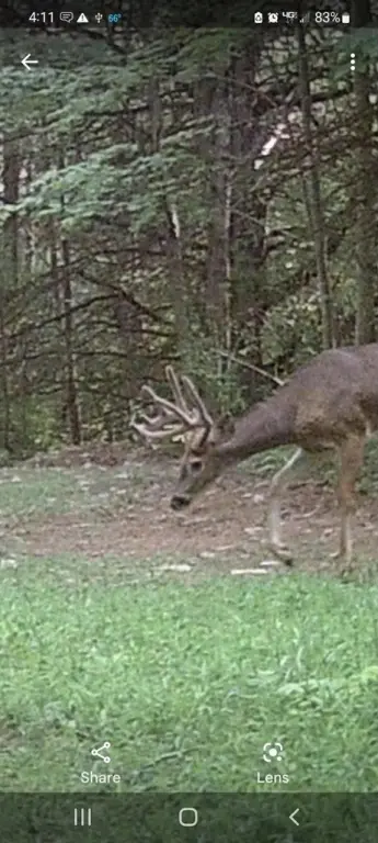 Picture 36