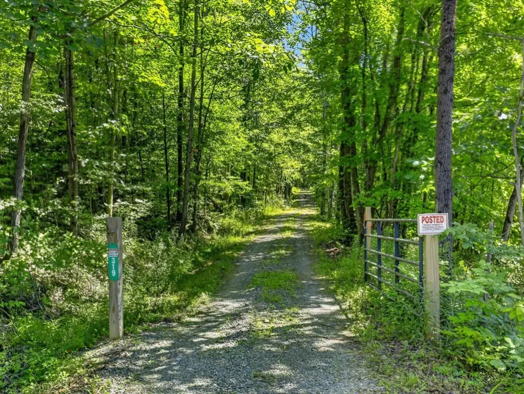 Picture 28