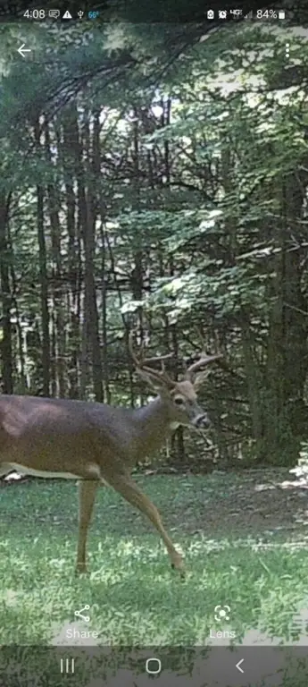 Picture 37