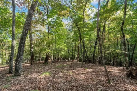 Lush Wooded Lot in Achasta