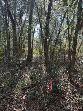 Crystal River Land Opportunity